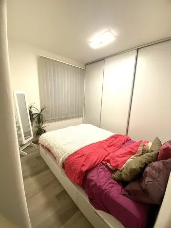 Pronájem bytu 3+kk, Nová Ves pod Pleší, Řadová, 66 m2