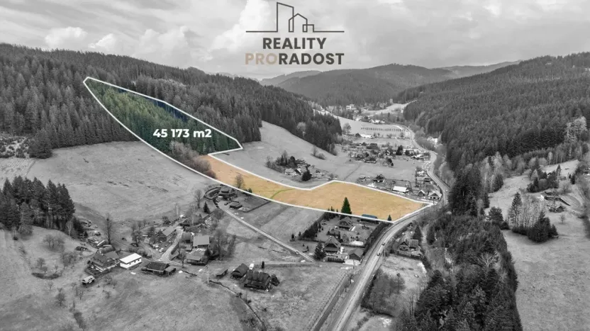 Prodej pozemku pro bydlení, Velké Karlovice, 45173 m2