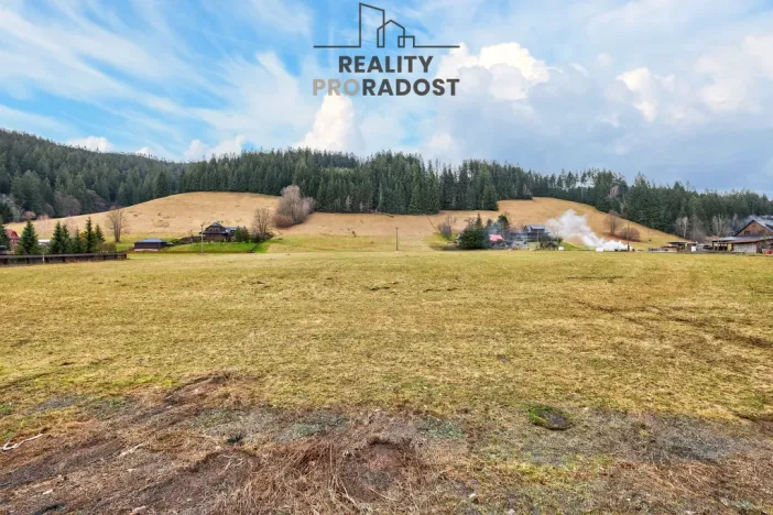 Prodej pozemku pro bydlení, Velké Karlovice, 45173 m2