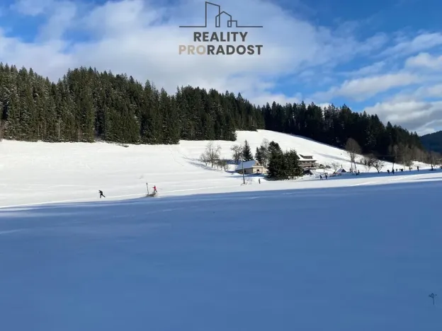 Prodej pozemku pro bydlení, Velké Karlovice, 45173 m2