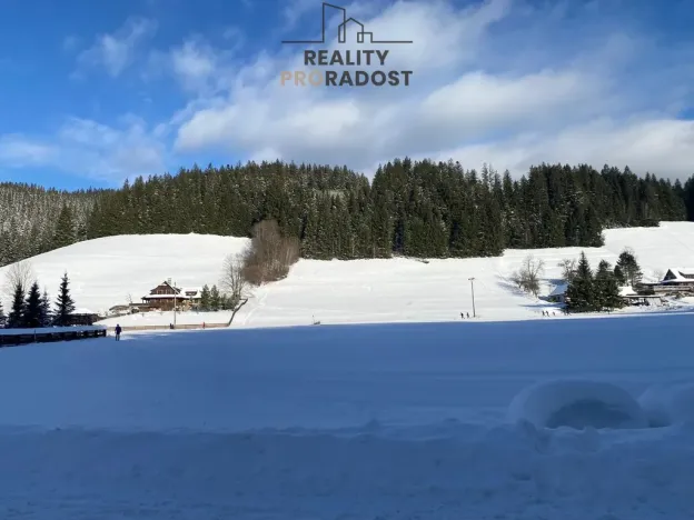 Prodej pozemku pro bydlení, Velké Karlovice, 45173 m2