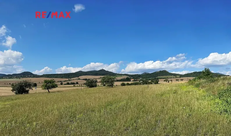 Prodej pozemku pro bydlení, Podsedice, 4847 m2