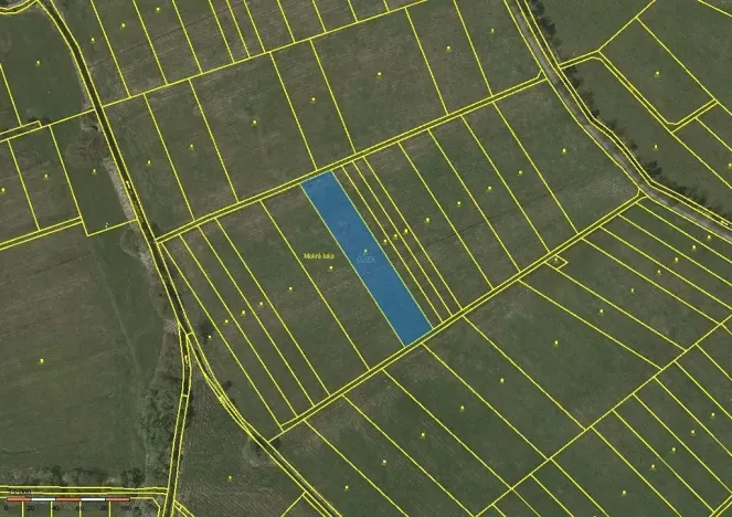 Prodej louky, Třeboň, 4267 m2