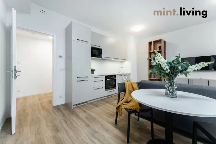 Pronájem bytu 2+kk, Praha - Vysočany, Odkolkova, 43 m2