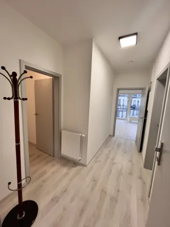 Pronájem bytu 1+kk, Olomouc, Wolkerova, 43 m2