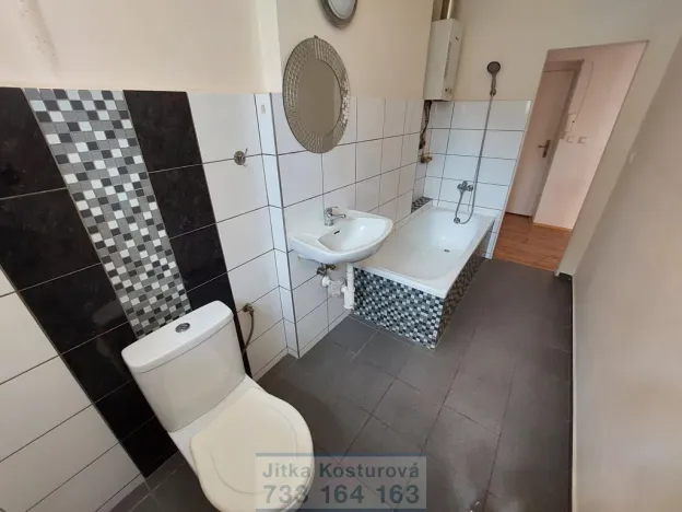 Pronájem bytu 1+1, Krnov - Pod Bezručovým vrchem, Březinova, 40 m2