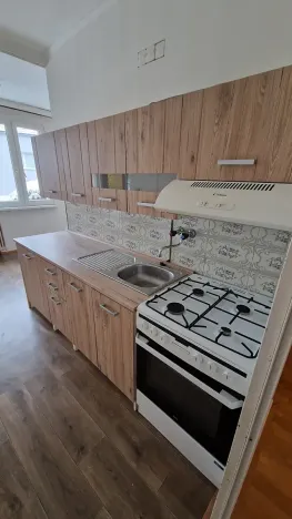 Pronájem bytu 2+1, Krupka, Teplická, 61 m2