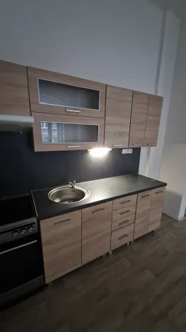 Pronájem bytu 4+kk, Teplice, Mostecká, 119 m2