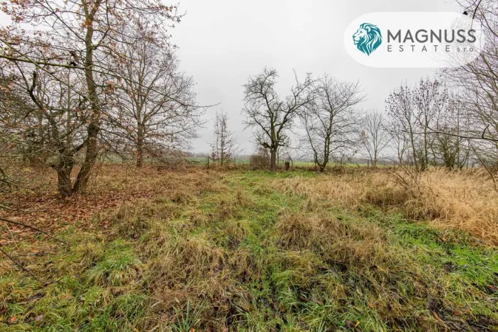 Prodej pozemku pro bydlení, Libina, 7132 m2