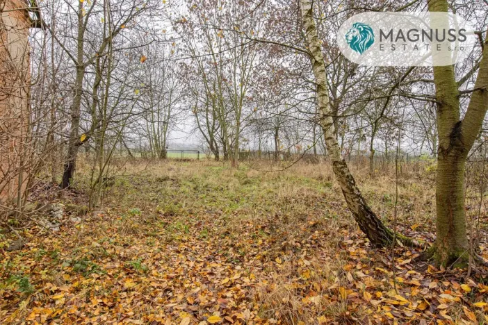 Prodej pozemku pro bydlení, Libina, 7132 m2