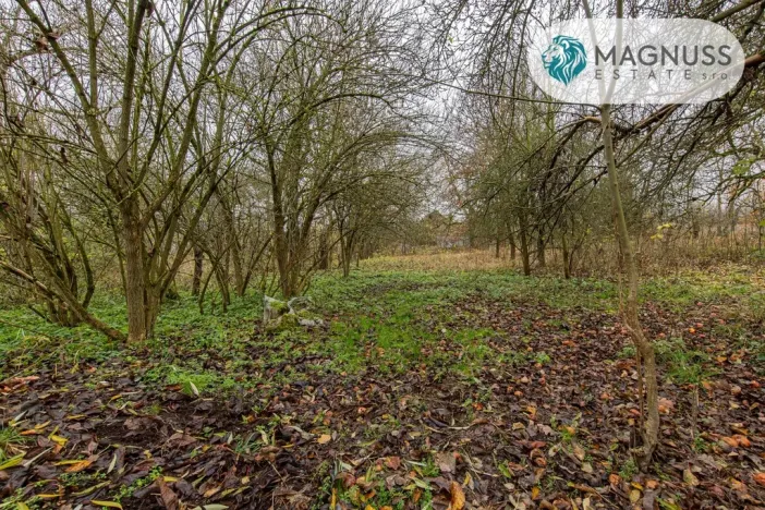 Prodej pozemku pro bydlení, Libina, 7132 m2