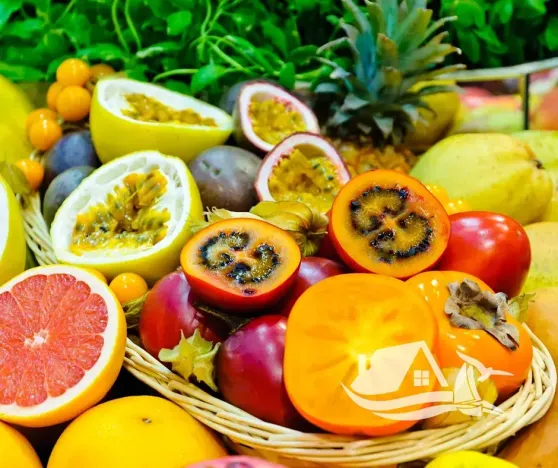 Prodej bytu 2+kk, Pattaya, Thajsko, 36 m2