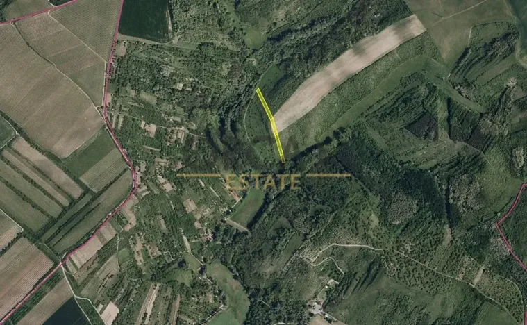 Prodej podílu pole, Hustopeče, 1025 m2