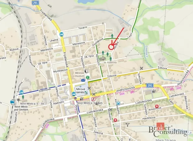 Prodej zahrady, Nové Město pod Smrkem, 593 m2