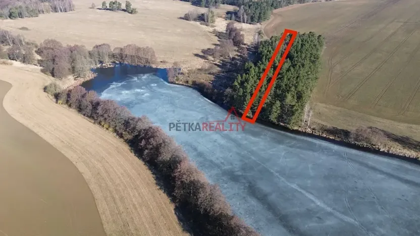 Prodej lesa, Čistá, 1294 m2