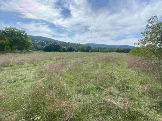 Dražba louky, Všenory, 601 m2