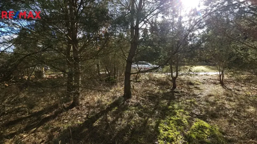 Prodej pozemku pro bydlení, Olešná, 654 m2