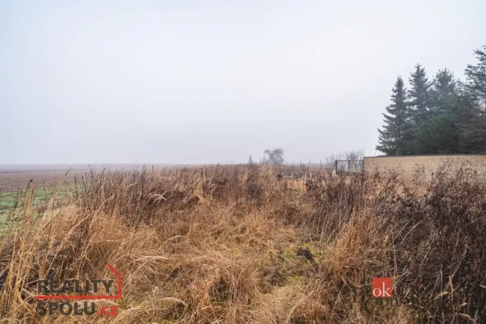 Prodej pozemku pro bydlení, Olešná, 2187 m2