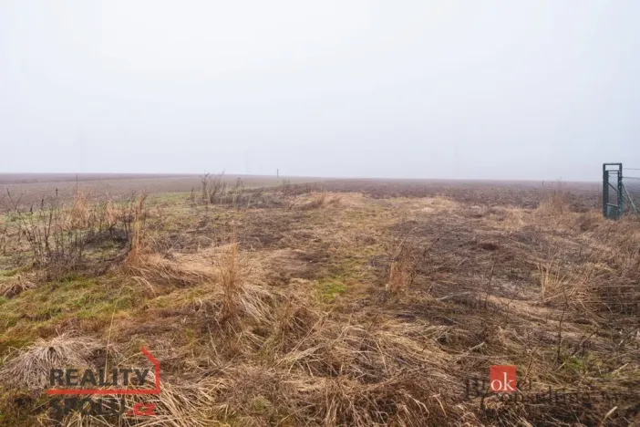 Prodej pozemku pro bydlení, Olešná, 2187 m2