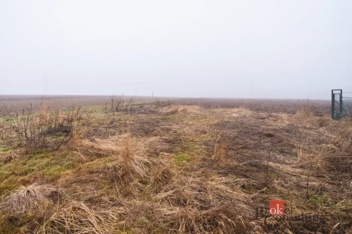 Prodej pozemku pro bydlení, Olešná, 2187 m2