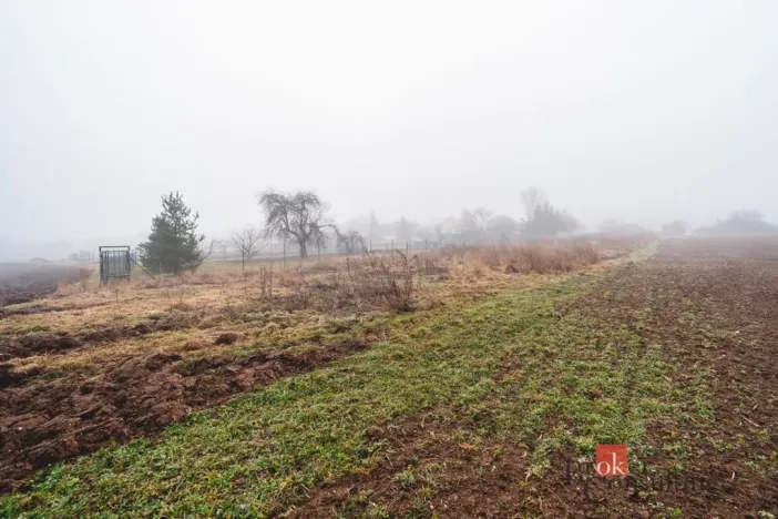 Prodej pozemku pro bydlení, Olešná, 2187 m2