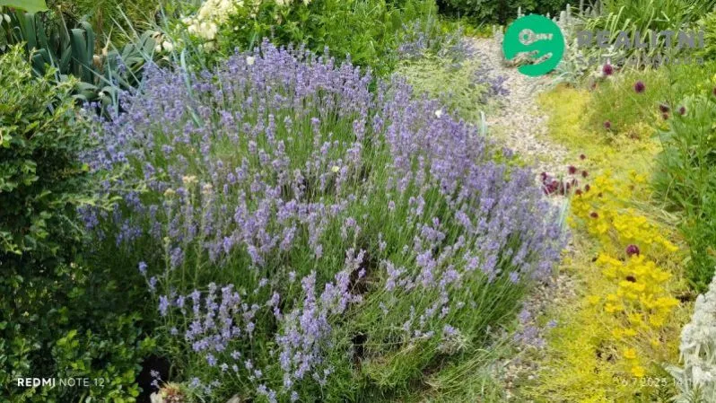 Prodej chaty, Kadaň - Tušimice, 30 m2