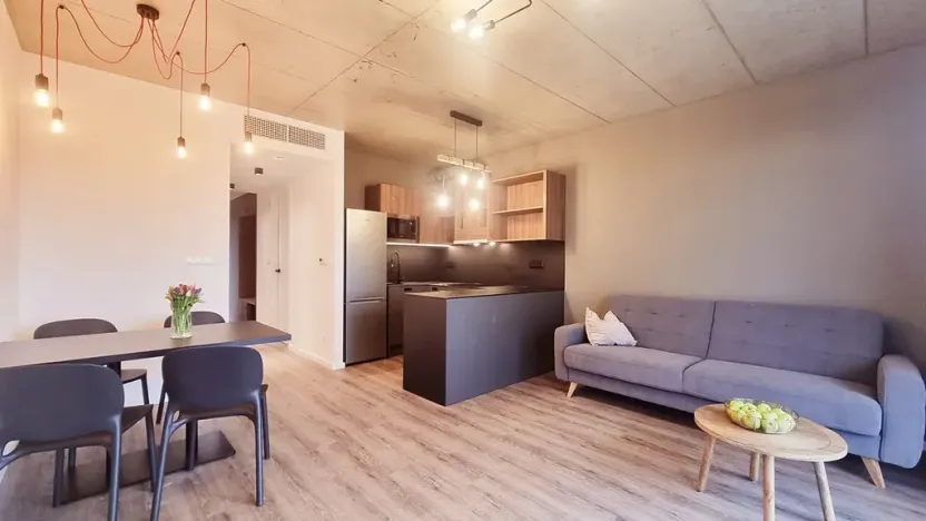 Pronájem bytu 2+kk, Brno, V rejích, 49 m2