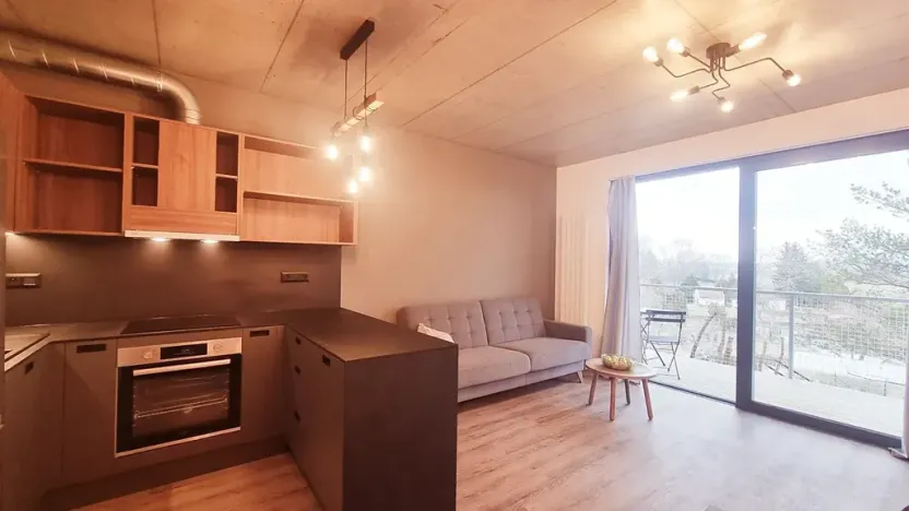 Pronájem bytu 2+kk, Brno, V rejích, 49 m2