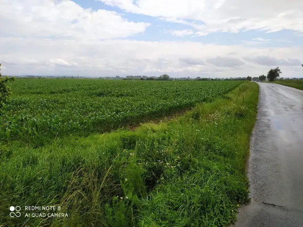 Prodej komerčního pozemku, Dolní Roveň, 13103 m2