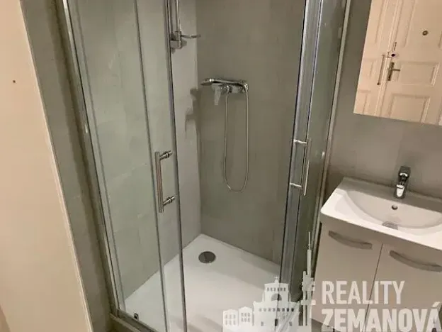 Pronájem bytu 1+1, Praha - Vinohrady, Řipská, 48 m2