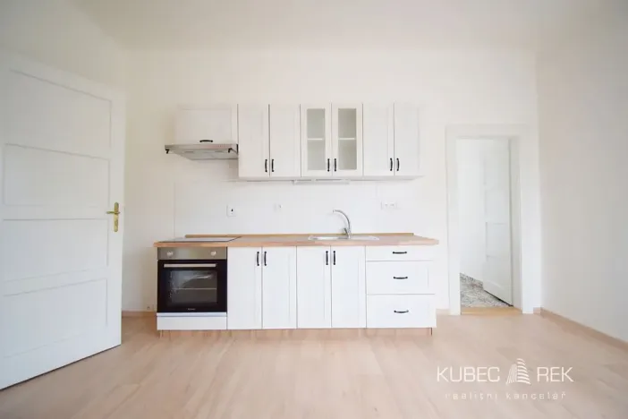 Pronájem bytu 1+1, Tábor, Ojířova, 60 m2