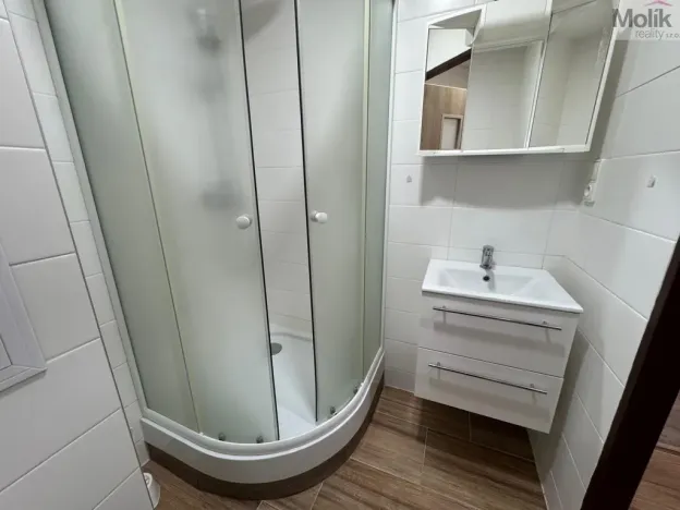 Pronájem bytu 1+1, Most, U Stadionu, 26 m2