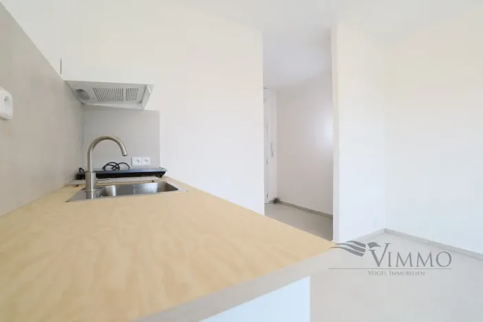 Pronájem bytu 1+kk, České Budějovice - České Budějovice 3, Plzeňská, 20 m2