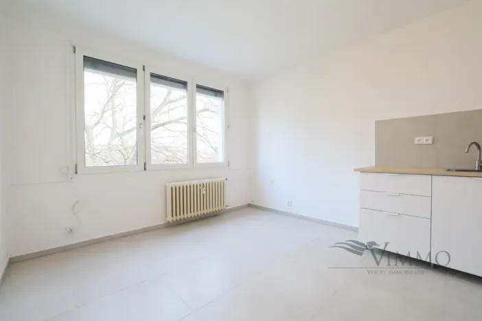 Pronájem bytu 1+kk, České Budějovice - České Budějovice 3, Plzeňská, 20 m2