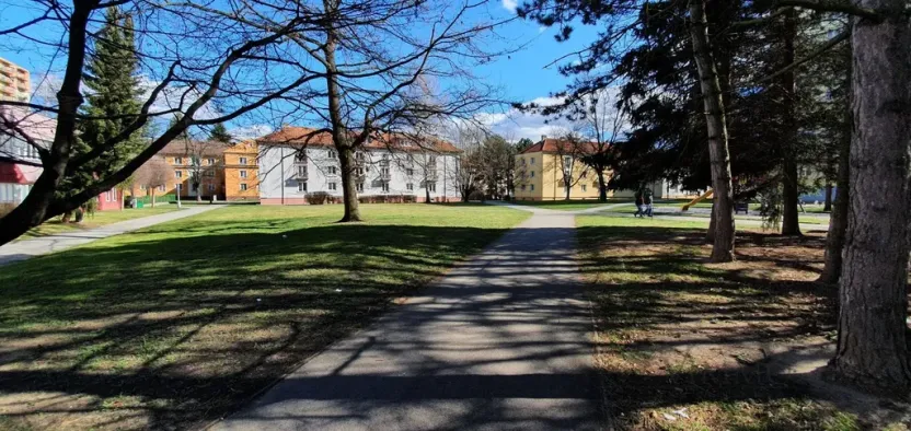 Pronájem bytu 1+kk, České Budějovice - České Budějovice 3, Plzeňská, 20 m2