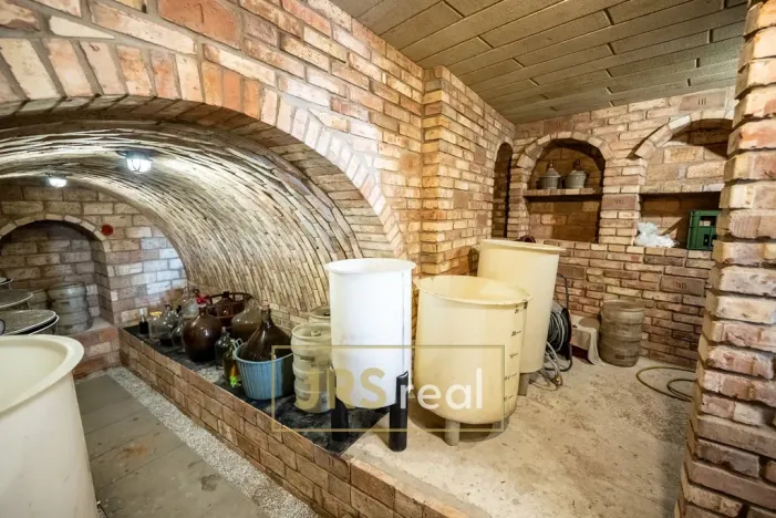 Prodej - jiné, Prušánky, Nechory, 145 m2