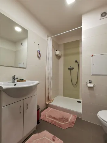 Pronájem bytu 1+kk, Litoměřice - Předměstí, Revoluční, 35 m2