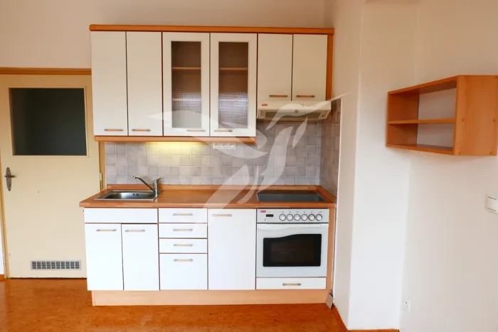 Pronájem bytu 1+1, Plzeň, Jiráskovo náměstí, 47 m2