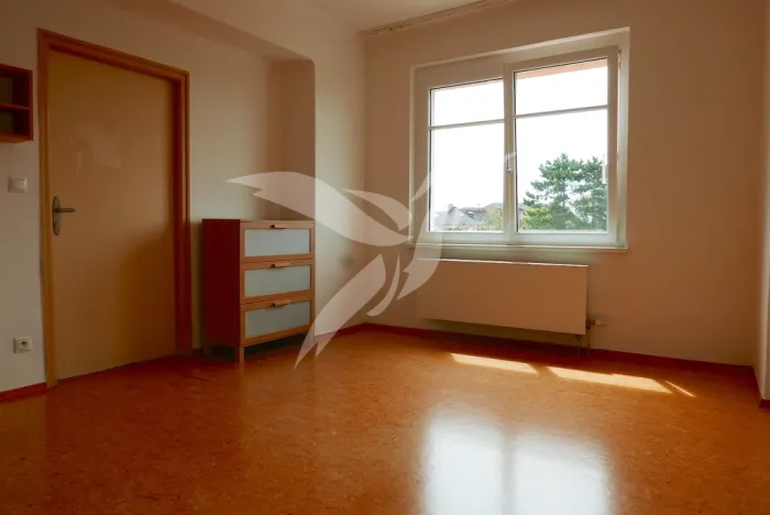 Pronájem bytu 1+1, Plzeň, Jiráskovo náměstí, 47 m2