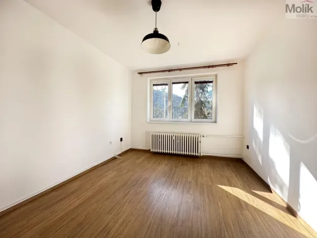 Pronájem bytu 1+1, Ústí nad Labem - Střekov, Tolstého, 33 m2