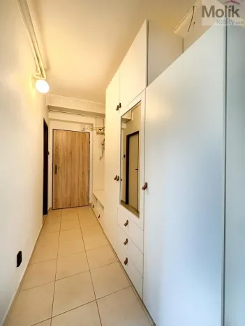 Pronájem bytu 1+1, Ústí nad Labem - Střekov, Tolstého, 33 m2