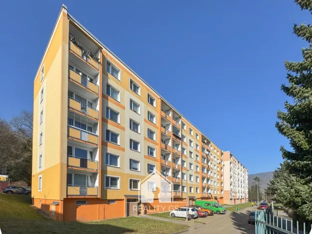 Prodej bytu 1+1, Ústí nad Labem, Mlýnská, 35 m2