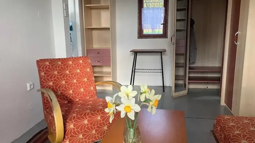 Pronájem zahrady, Brno, 340 m2