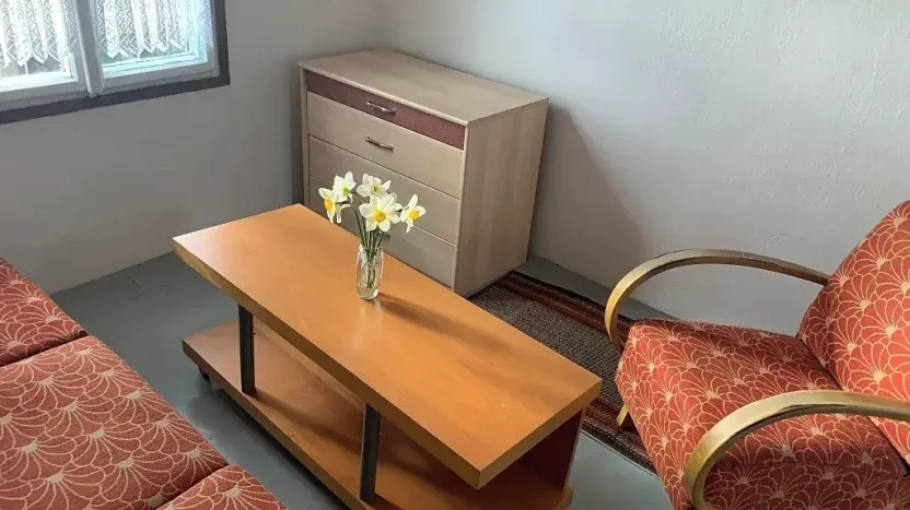 Pronájem zahrady, Brno, 340 m2