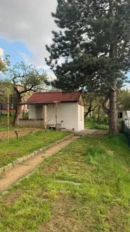 Pronájem zahrady, Brno, 340 m2