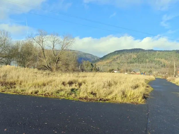 Prodej komerčního pozemku, Hroznětín, Nádražní, 7451 m2