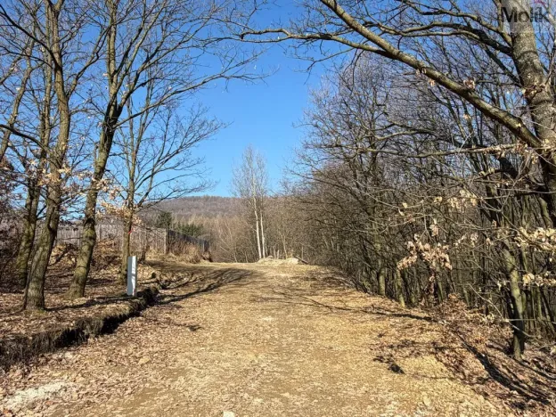 Prodej pozemku pro bydlení, Lom - Loučná, Tyršova stezka, 2648 m2