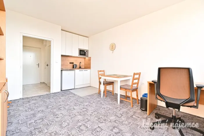 Pronájem bytu 1+kk, Brno, Halasovo náměstí, 23 m2