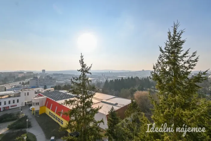 Pronájem bytu 1+kk, Brno, Halasovo náměstí, 23 m2