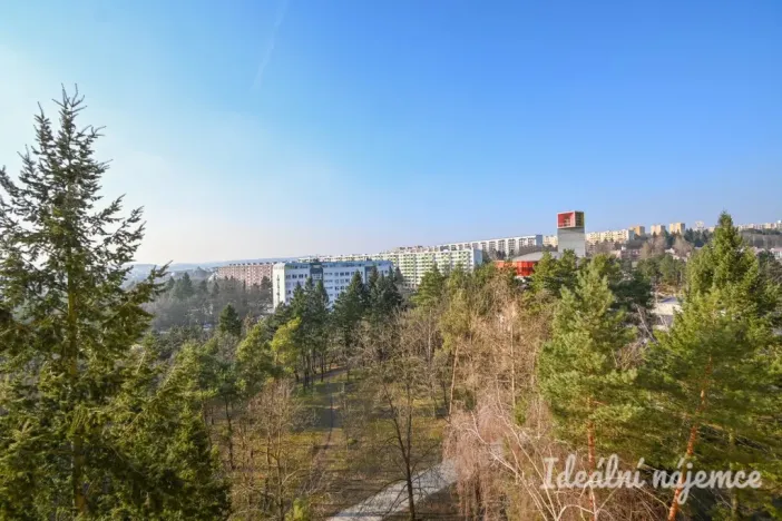 Pronájem bytu 1+kk, Brno, Halasovo náměstí, 23 m2